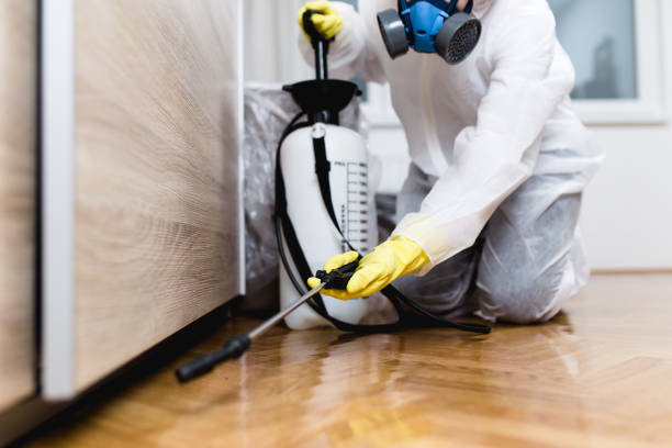 Best Local Pest Control Services  in Sandy, UT
