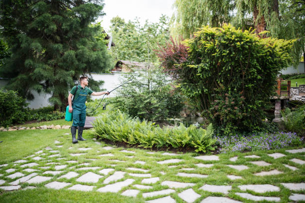 Trusted Sandy, UT Pest Control Experts