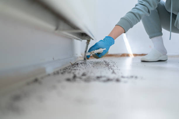 Best Mosquito Control Services  in Sandy, UT