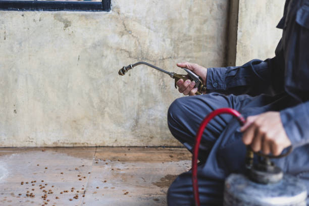 Professional Pest Control in Sandy, UT